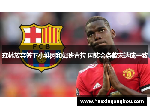 森林放弃签下小维阿和姆班古拉 因转会条款未达成一致 森林放弃签下小维阿和姆班古拉 因转会条款未达成一致