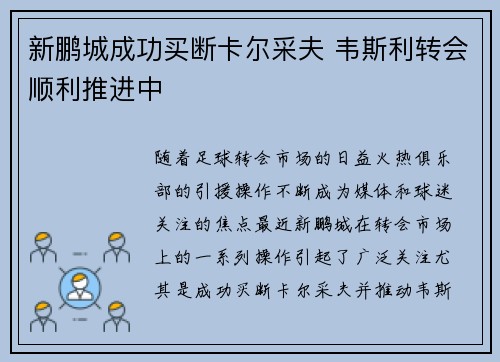 新鹏城成功买断卡尔采夫 韦斯利转会顺利推进中 新鹏城成功买断卡尔采夫 韦斯利转会顺利推进中