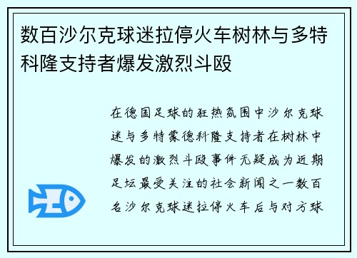 数百沙尔克球迷拉停火车树林与多特科隆支持者爆发激烈斗殴
